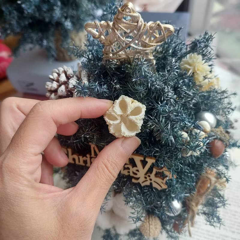 北歐永生雪松聖誕樹  聖誕樹/聖誕手作/聖誕花圈/手作DIY