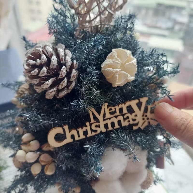 北歐永生雪松聖誕樹  聖誕樹/聖誕手作/聖誕花圈/手作DIY