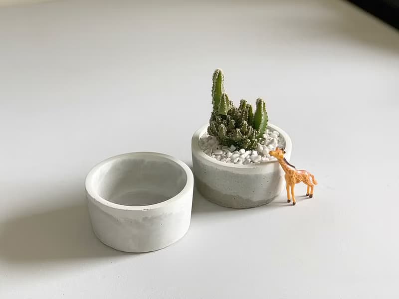 【招財禮物首選】招財圓圓水泥盆栽 @JU多肉