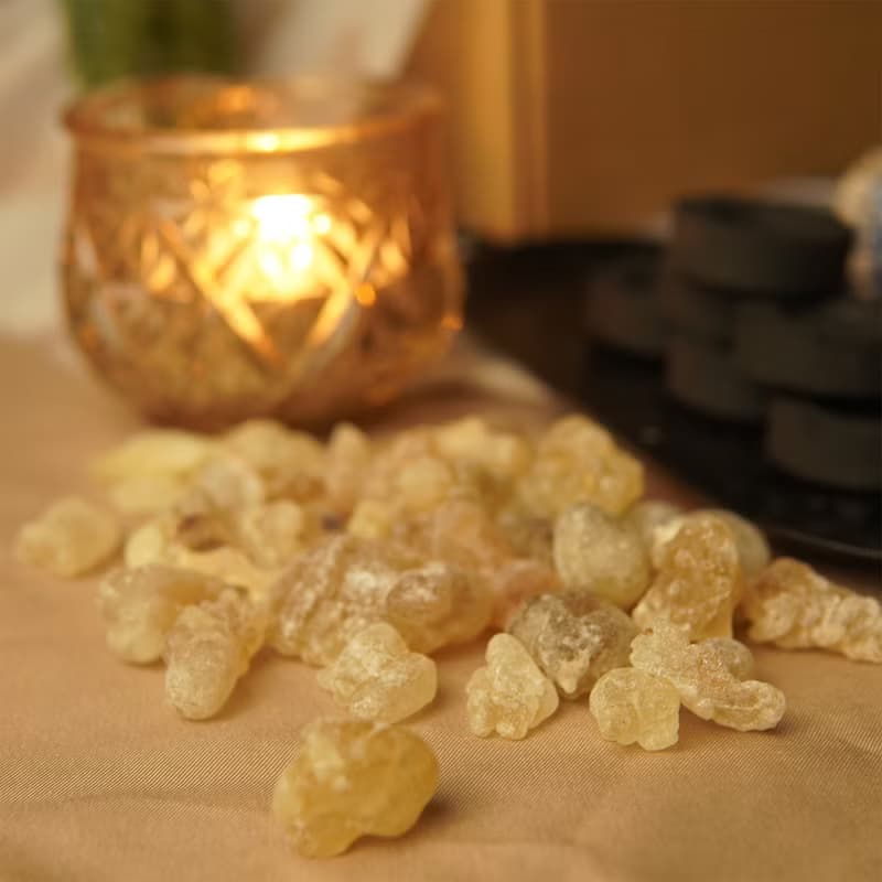 療癒綠洲薰香禮盒 【AMIN療癒綠洲】