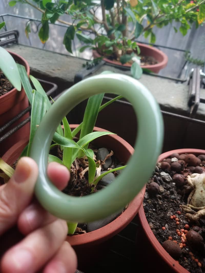 Miss feng天然石-余太翠玉(稀有版)手鐲