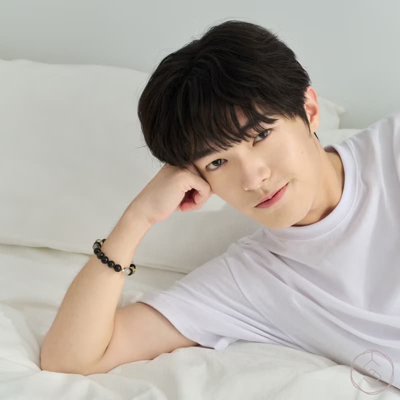 夜闌 | 金曜石 黑髮晶 黃水晶 | 男款水晶手鍊