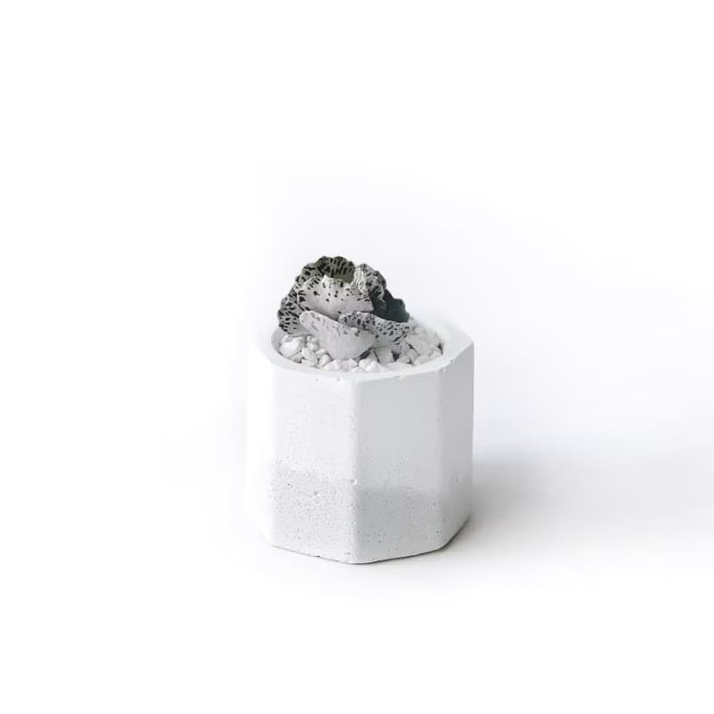 (現貨) 白灰漸層系列 | 雀扇 巧克力脆片 小八角形水泥多肉植栽