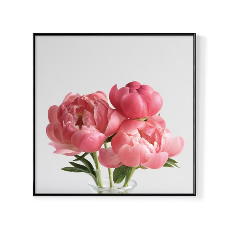 嫣紅牡丹 - 方形掛畫/沙發掛畫/家居佈置/牡丹/玄關/北歐/複製畫
