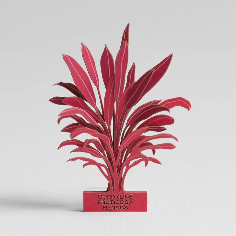 【立體植物貼紙】龍舌蘭科朱蕉 (605029) FingerART紙雕紙藝術