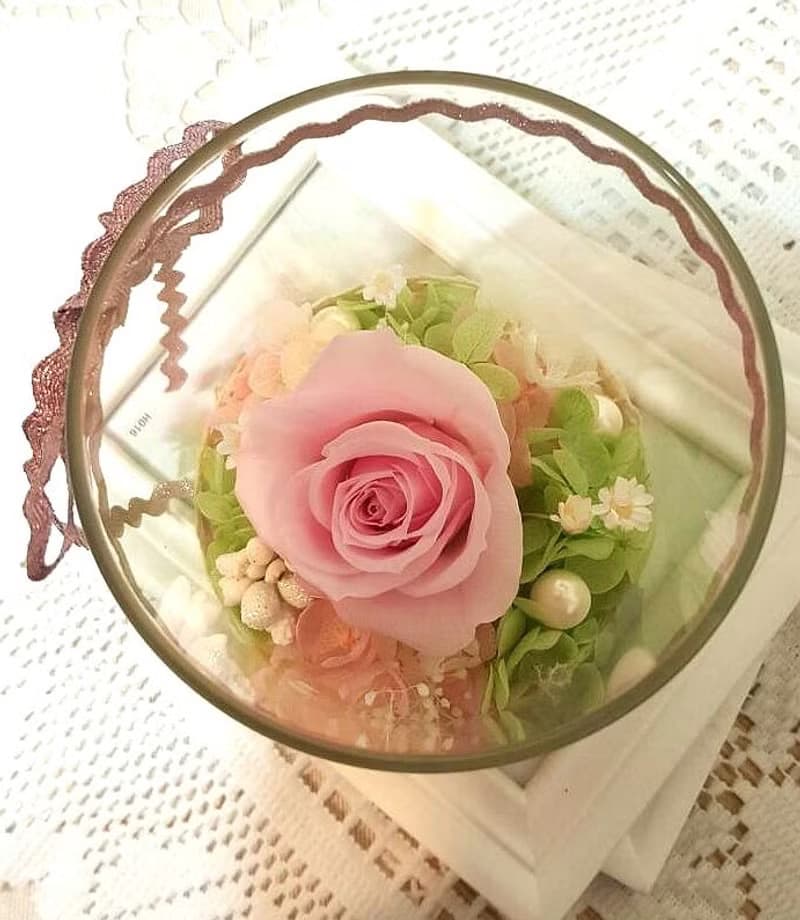  l 瓶中精靈  帶燈玻璃瓶花禮-純愛粉 l *情人*愛情*裝飾*不凋花.恆星花.永生花*交換禮物