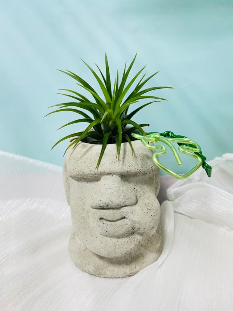 KUSO摩艾水泥盆 空間佈置 交換禮物 畢業禮物