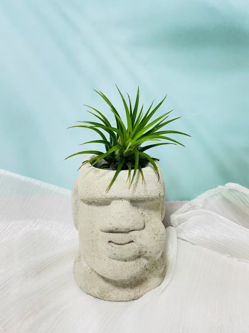 KUSO摩艾水泥盆 空間佈置 交換禮物 畢業禮物