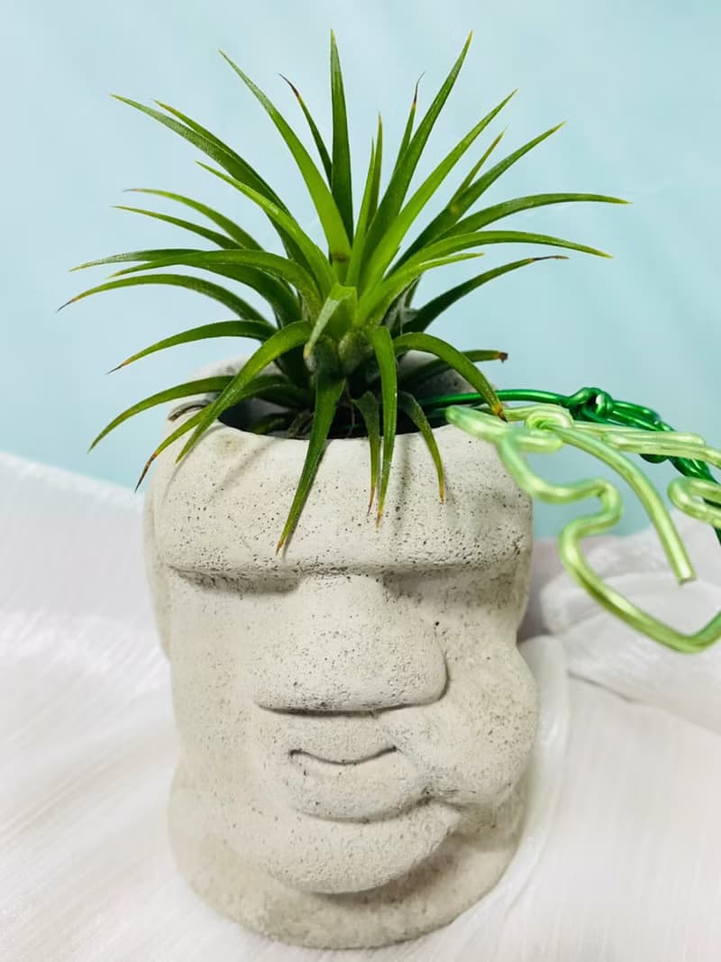 KUSO摩艾水泥盆 空間佈置 交換禮物 畢業禮物