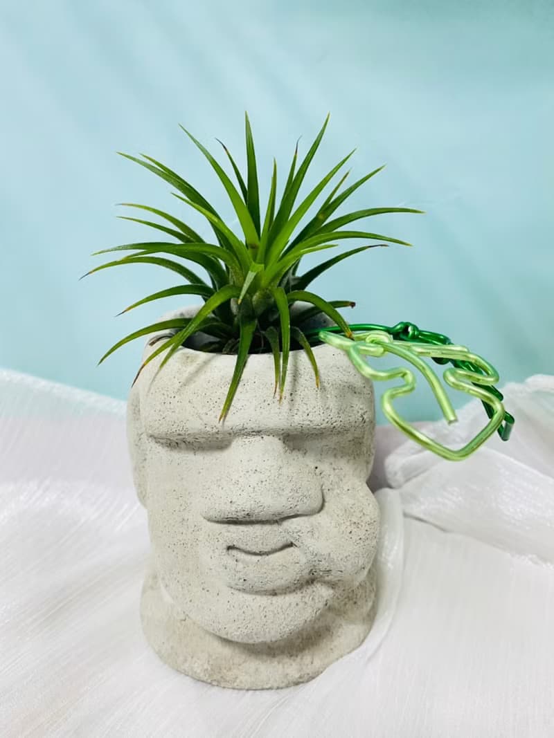 KUSO摩艾水泥盆 空間佈置 交換禮物 畢業禮物