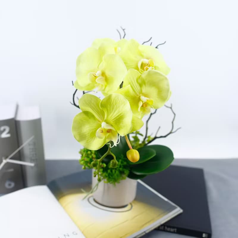 綠蝴蝶蘭香氛花藝/仿真花/禮物/佈置/人造花/花禮