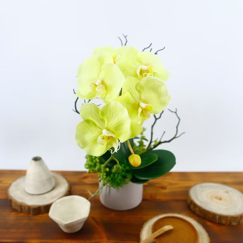 綠蝴蝶蘭香氛花藝/仿真花/禮物/佈置/人造花/花禮