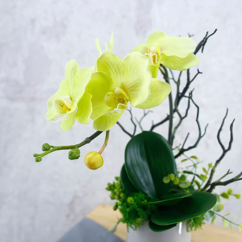 綠蝴蝶蘭香氛花藝/仿真花/禮物/佈置/人造花/花禮