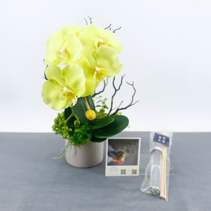 綠蝴蝶蘭香氛花藝/仿真花/禮物/佈置/人造花/花禮