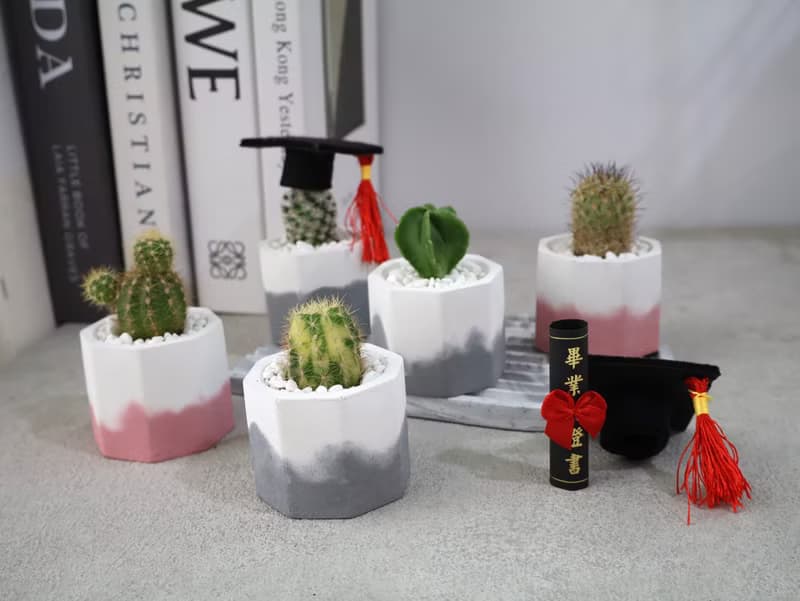 畢業版小八角水泥盆 / 多肉植物 / 仙人掌 畢業禮物
