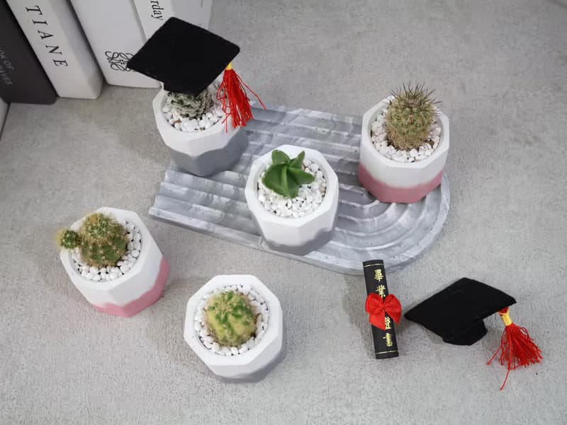 畢業版小八角水泥盆 / 多肉植物 / 仙人掌 畢業禮物