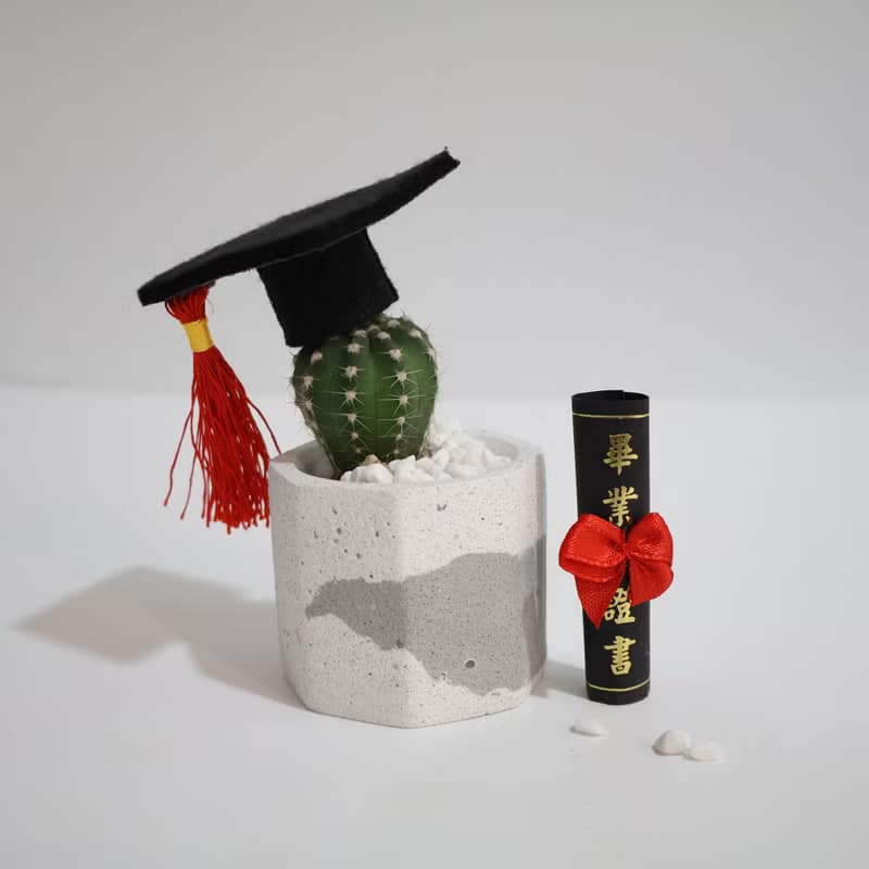 畢業版小八角水泥盆 / 多肉植物 / 仙人掌 畢業禮物