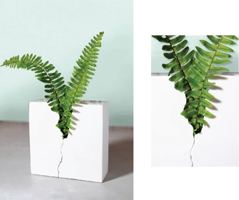 島民 Islanders Studio│迸花器 Born Planter & Vase Handmade