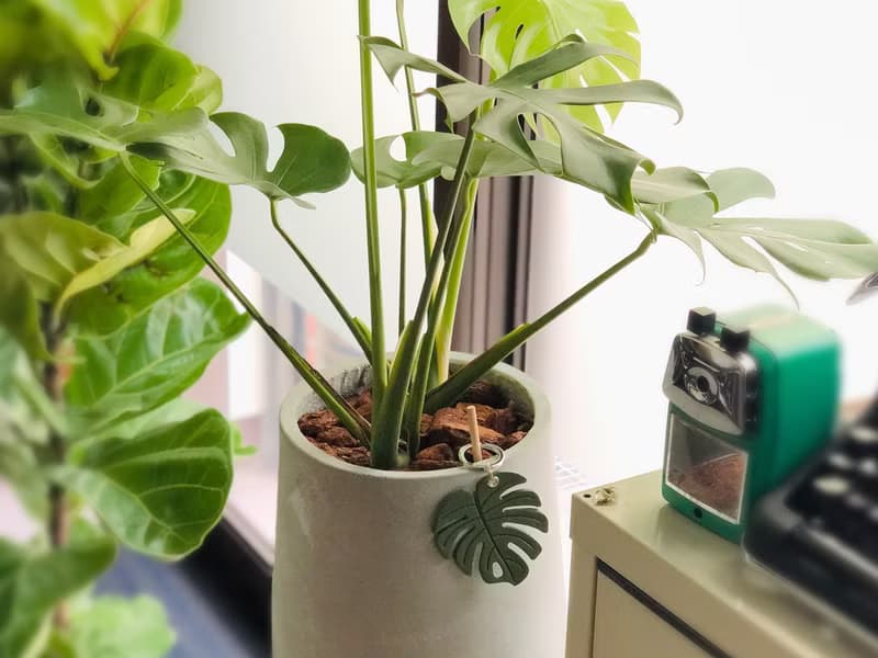 【 包包吊飾 】 觀葉植物手工真皮鑰匙圈 (英文刻字/禮盒包裝)