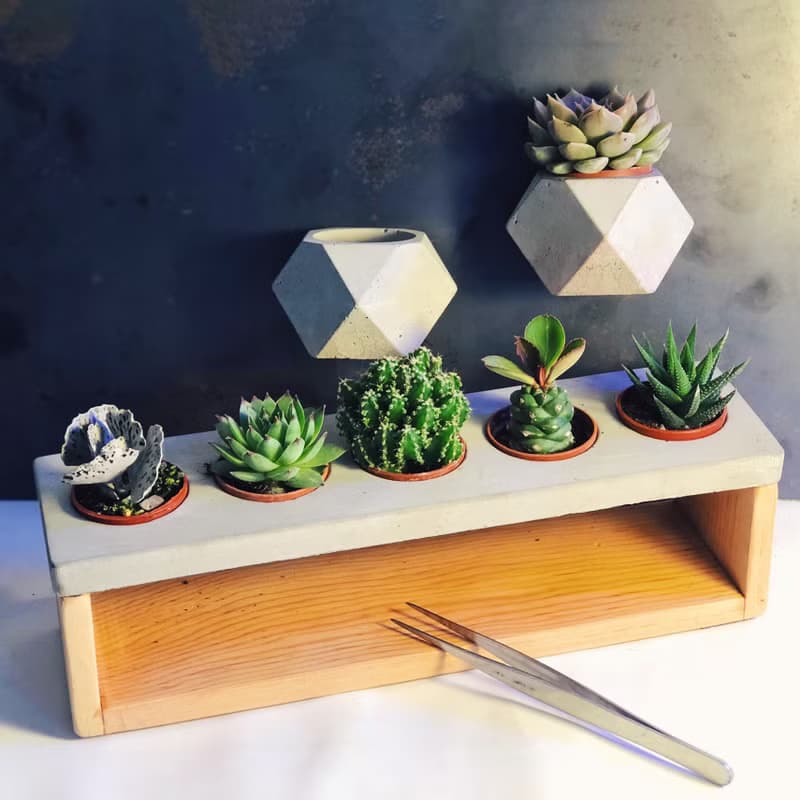 【野草不野】空浮石植栽 / 磁吸水泥盆栽