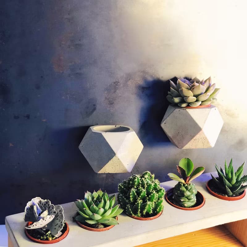 【野草不野】空浮石植栽 / 磁吸水泥盆栽