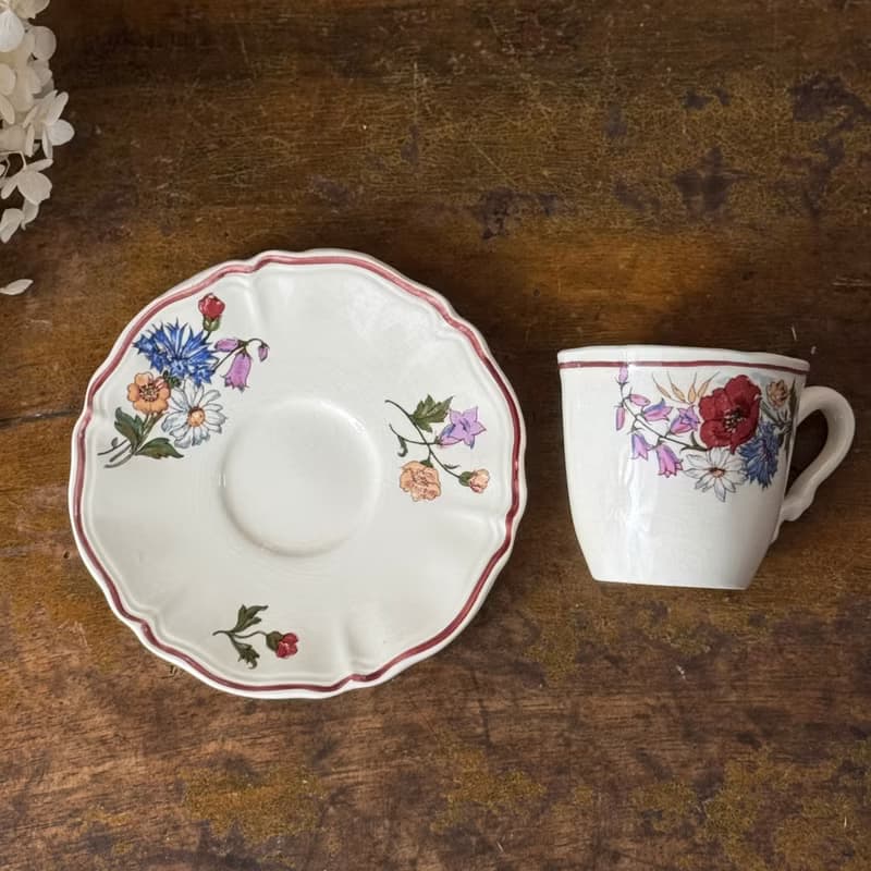 50679-迷人法國Sarreguemines AGRESTE 咖啡杯與碟