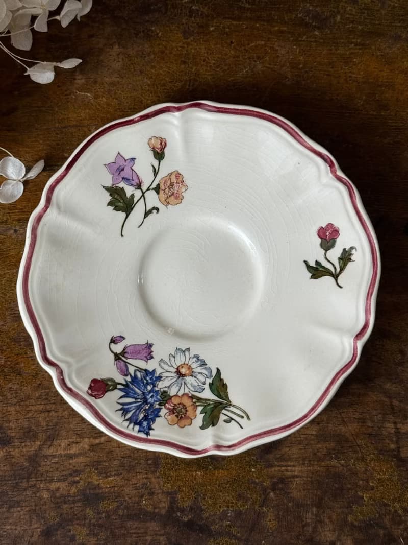 50679-迷人法國Sarreguemines AGRESTE 咖啡杯與碟