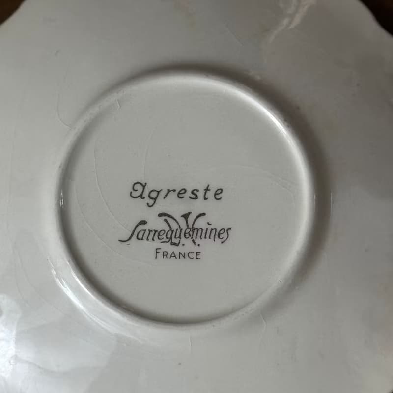 50679-迷人法國Sarreguemines AGRESTE 咖啡杯與碟