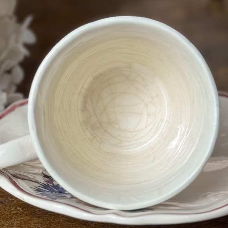 50679-迷人法國Sarreguemines AGRESTE 咖啡杯與碟