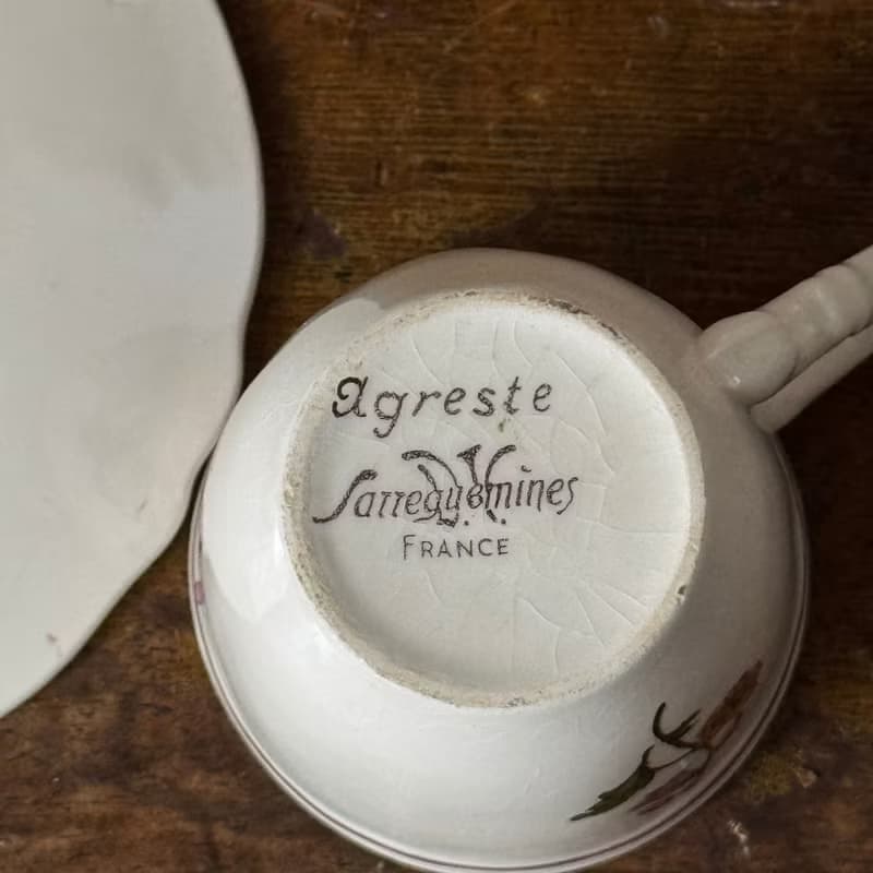 50679-迷人法國Sarreguemines AGRESTE 咖啡杯與碟