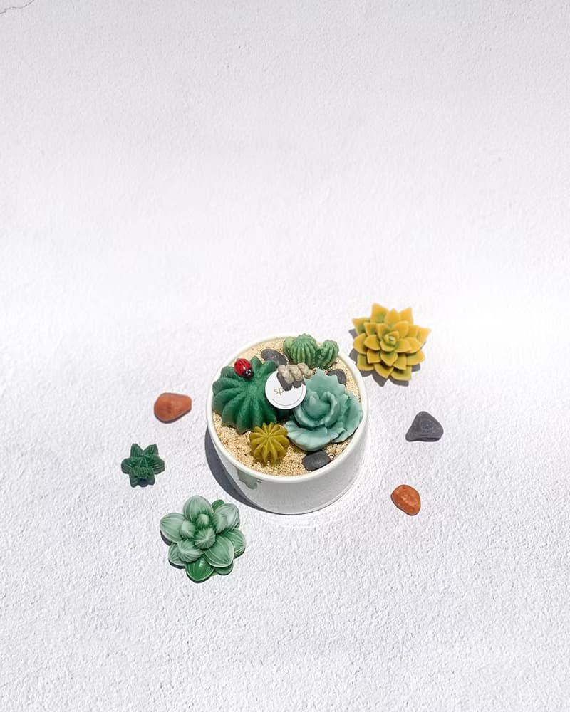 多肉植物盆栽蠟燭 | 手工仙人掌香氛蠟燭