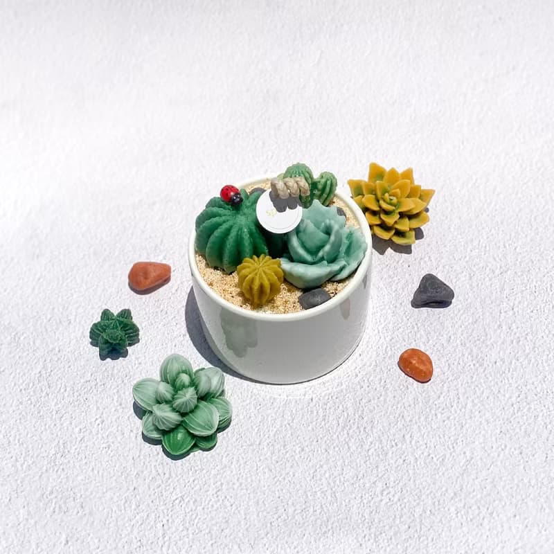 多肉植物盆栽蠟燭 | 手工仙人掌香氛蠟燭