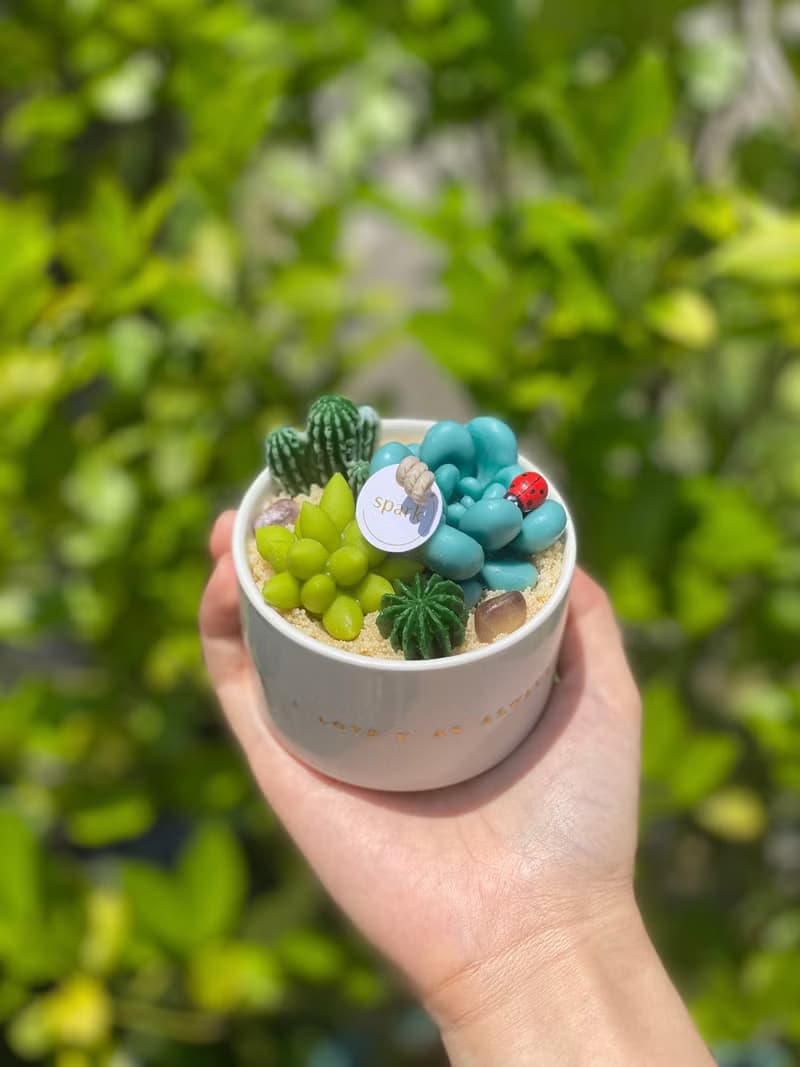 多肉植物盆栽蠟燭 | 手工仙人掌香氛蠟燭