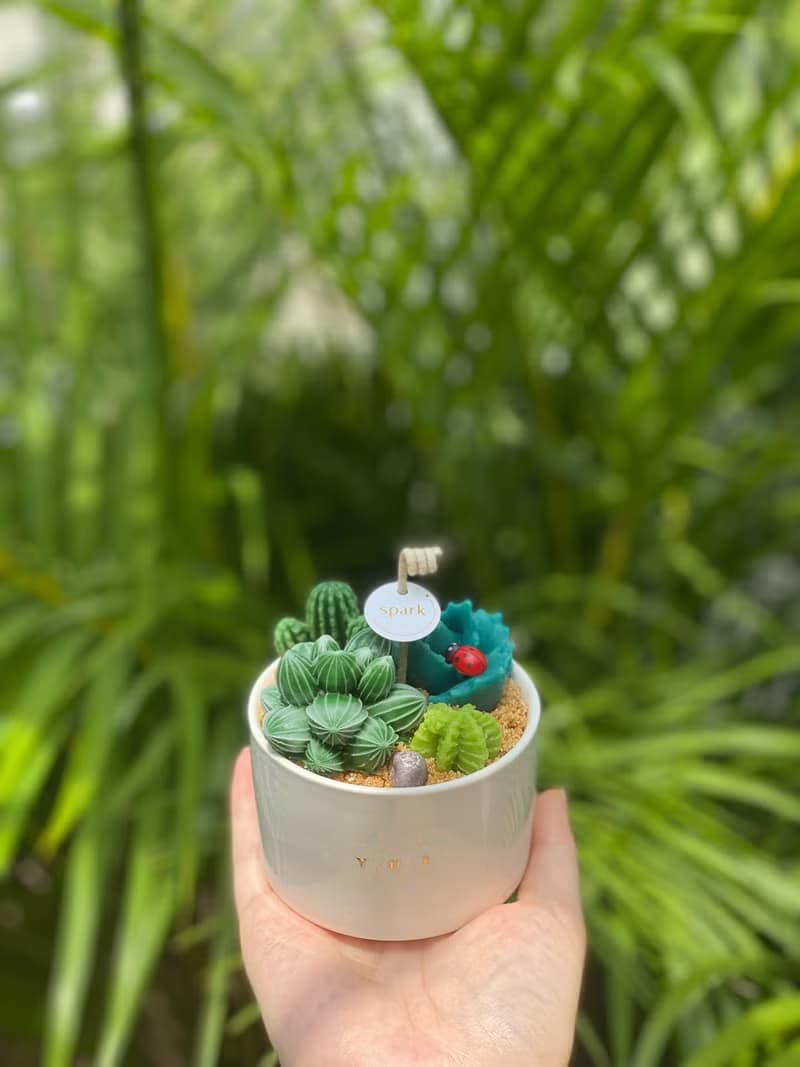 多肉植物盆栽蠟燭 | 手工仙人掌香氛蠟燭