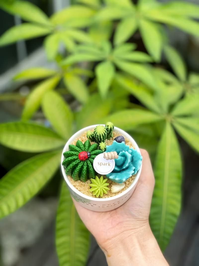 多肉植物盆栽蠟燭 | 手工仙人掌香氛蠟燭