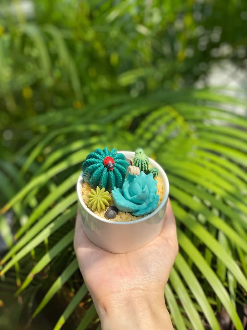 多肉植物盆栽蠟燭 | 手工仙人掌香氛蠟燭
