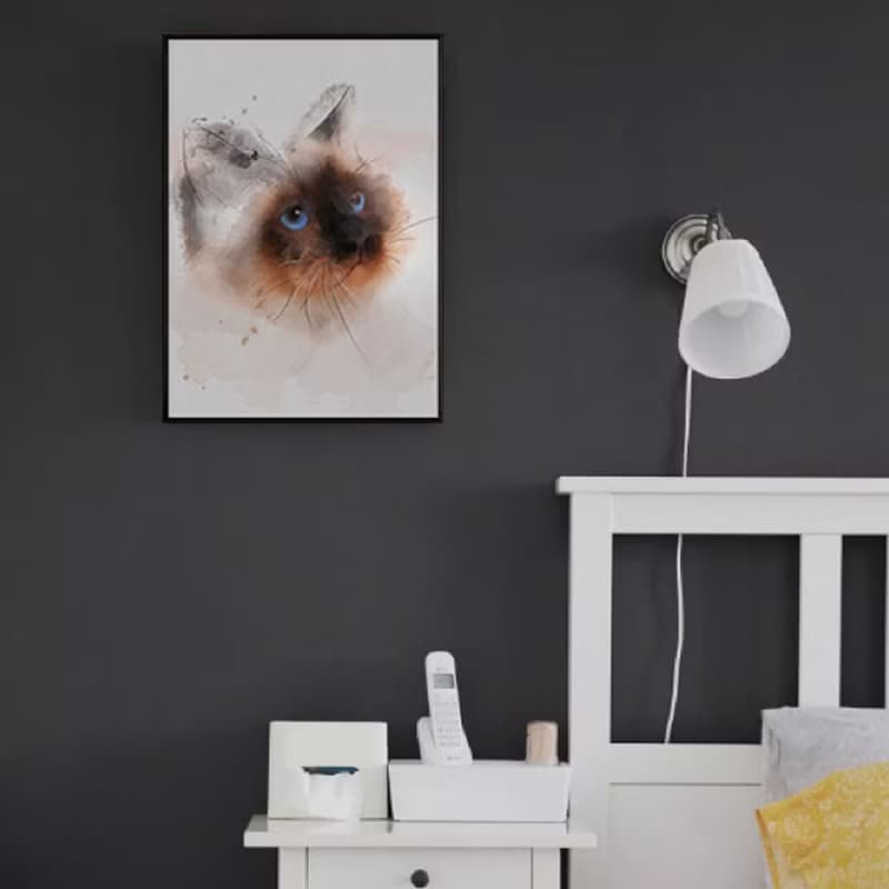 貓 - 暹羅貓/掛畫/寵物店/民宿/咖啡廳/工作室/送禮/佈置/背景照