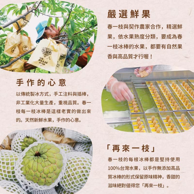 【台東原產 鹿野紅烏龍】紅烏龍煉乳冰棒8入禮盒組