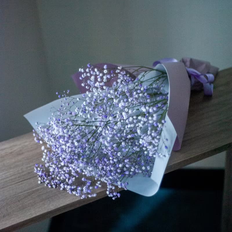 霧紫滿天星花束