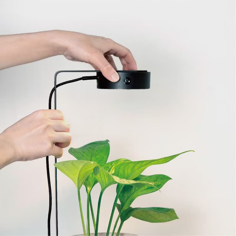 ONF MIST O 植霧光 專屬支架  需另購MIST O植物燈