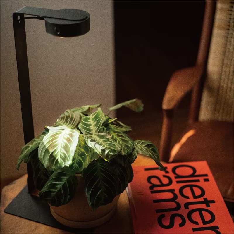 ONF MIST O 植霧光 專屬支架  需另購MIST O植物燈