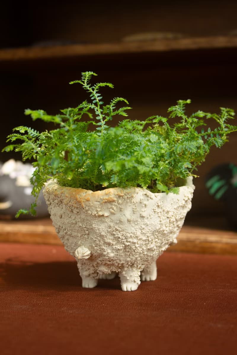 白巧克力奶油獸 盆器 植栽 花器 手作陶藝 獨一無二 禮物 送禮