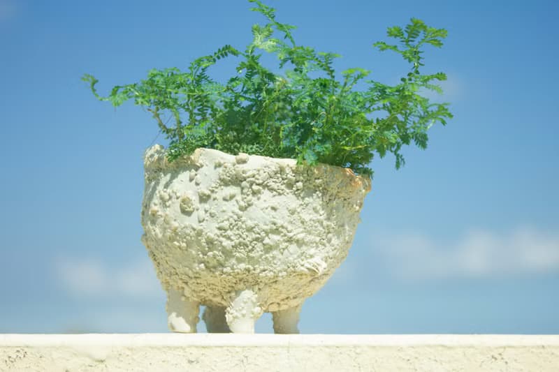 白巧克力奶油獸 盆器 植栽 花器 手作陶藝 獨一無二 禮物 送禮