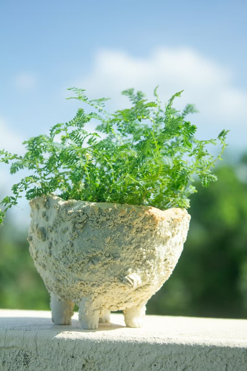 白巧克力奶油獸 盆器 植栽 花器 手作陶藝 獨一無二 禮物 送禮
