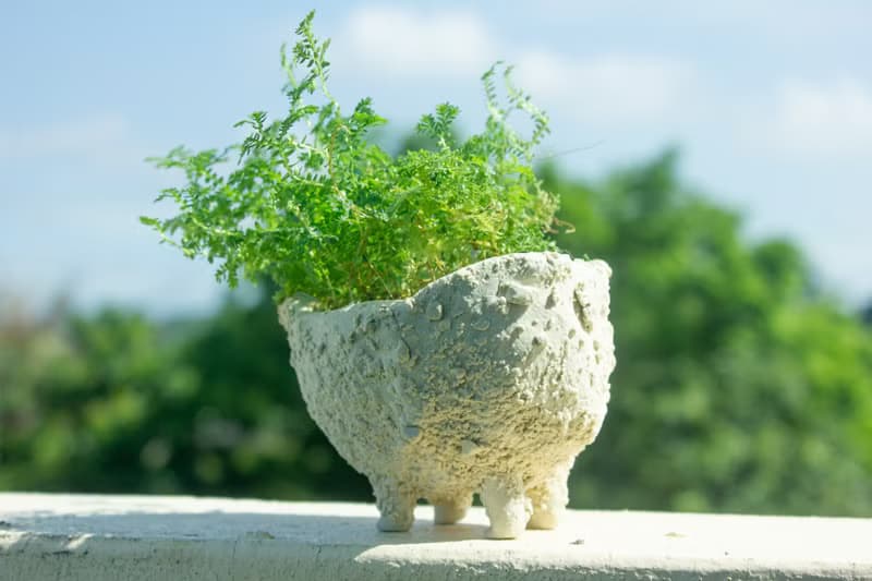 白巧克力奶油獸 盆器 植栽 花器 手作陶藝 獨一無二 禮物 送禮