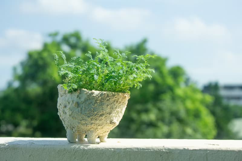 白巧克力奶油獸 盆器 植栽 花器 手作陶藝 獨一無二 禮物 送禮