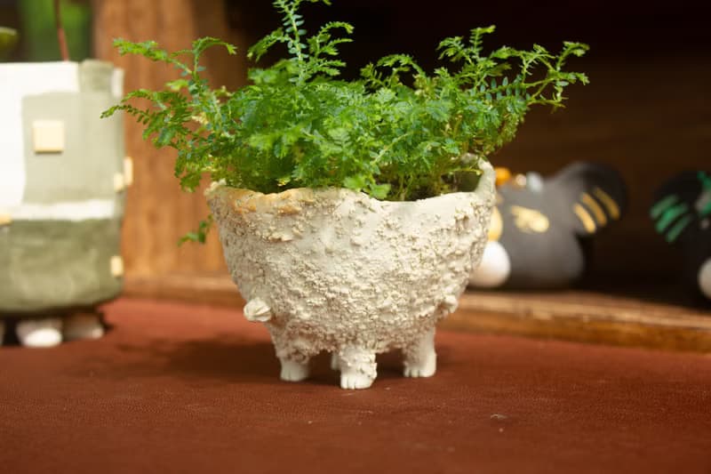 白巧克力奶油獸 盆器 植栽 花器 手作陶藝 獨一無二 禮物 送禮