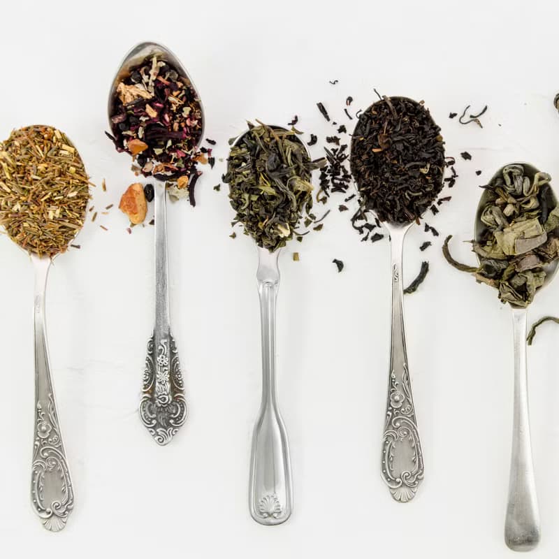 【任選兩罐】晨曦柚抹綠茶 歐洲綠茶 清新的薄荷綠茶混合柚香