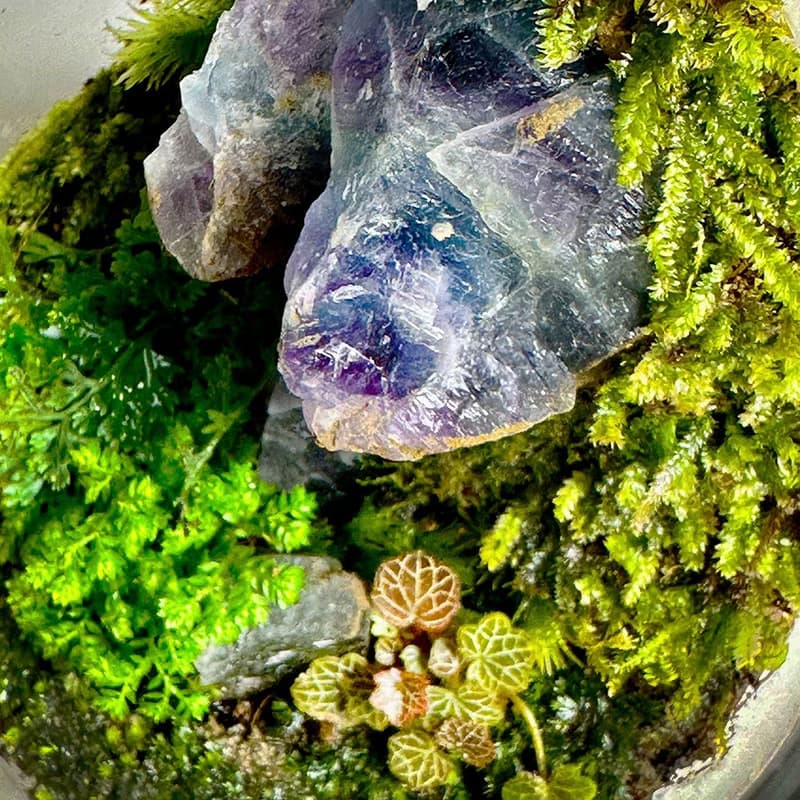 琉光碎境 DIY 體驗包 / 入門款礦石苔蘚瓶