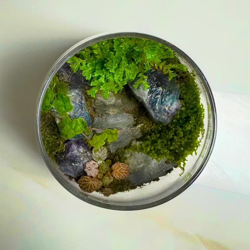 琉光碎境 DIY 體驗包 / 入門款礦石苔蘚瓶
